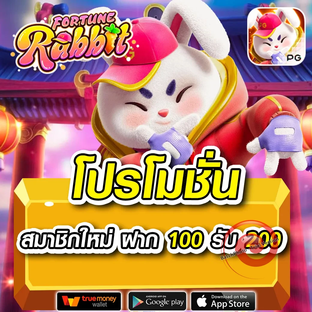 wolfbet88 slot